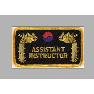 Sewn badge Ass. Instructor