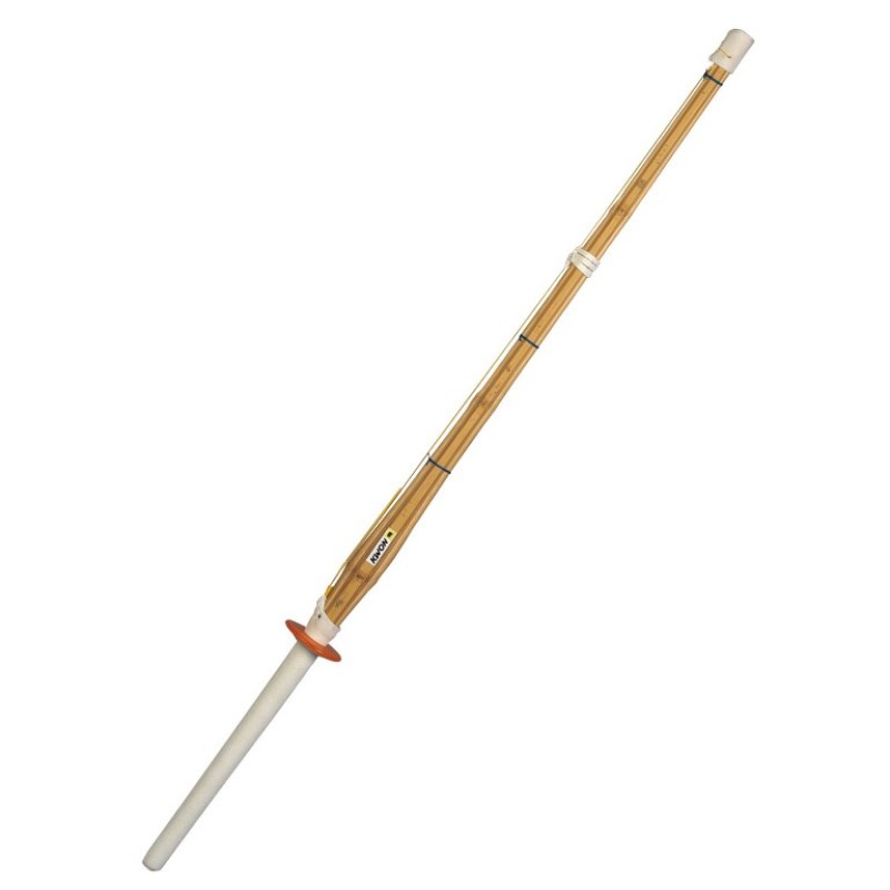 Trening Shinai